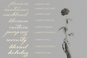 Laurente - Family Script Pro