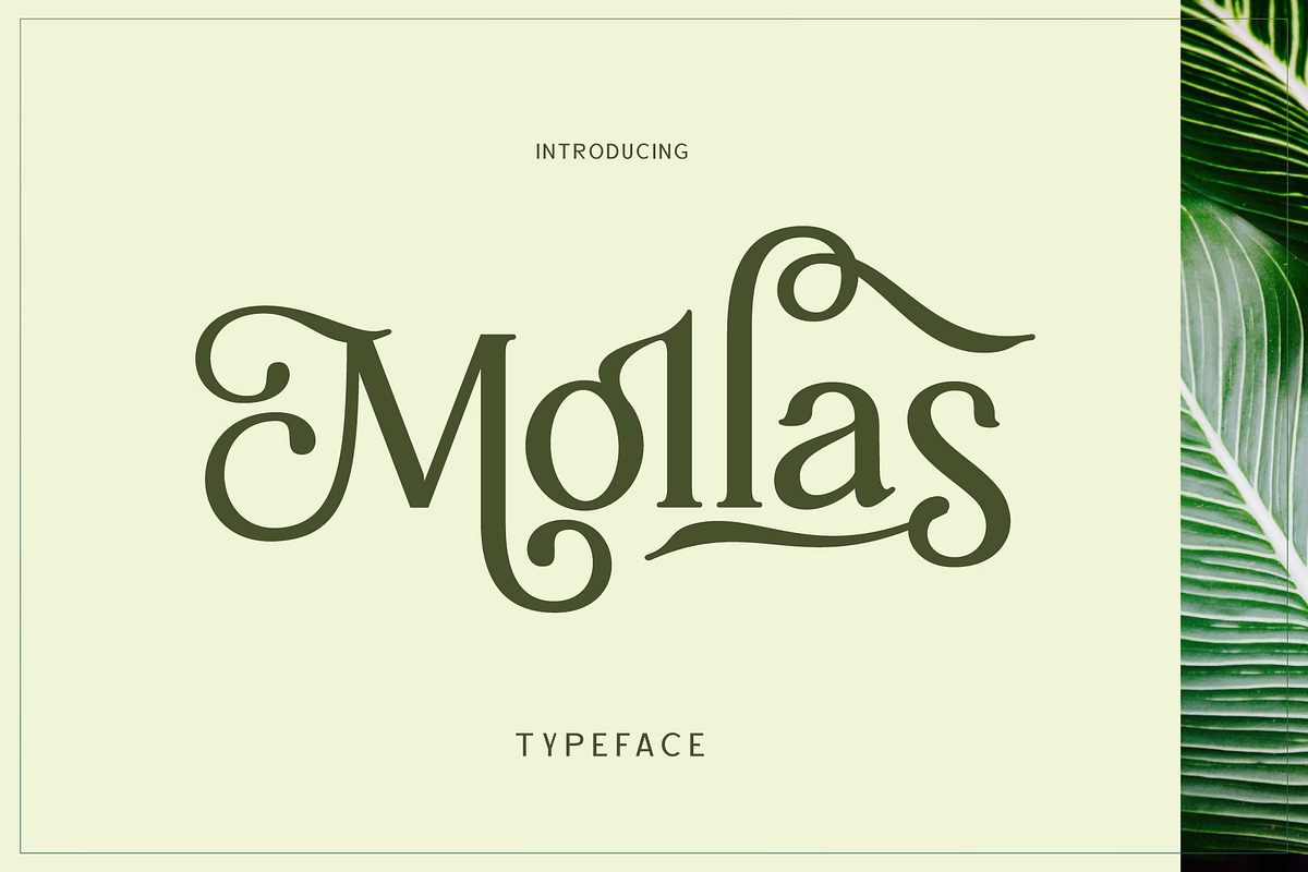 Mollas Typeface, a Serif Font by alit design (Photo 16 of 18)