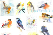 Watercolor illustration with bird, an Animal Illustration by Vavavka (Thumbnail 5 of 5)