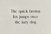 Katie Milky Modern Serif Font, a Serif Font by UICreative (Thumbnail 9 of 11)
