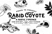 Rabid Coyote, a Sans Serif Font by Dead Moose Studio (Thumbnail 1 of 12)