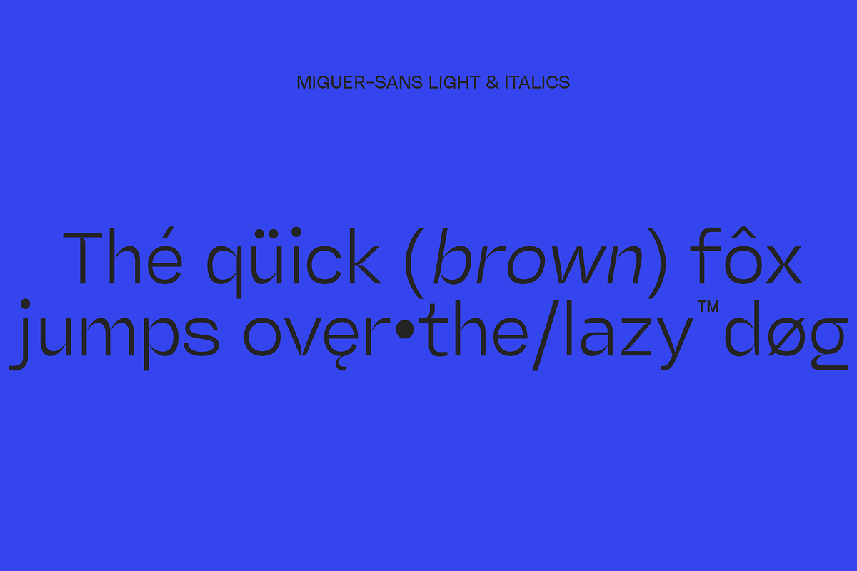 Miguer Sans | Contrast Sans, a Sans Serif Font by Jolicia Type (Photo 15 of 21)