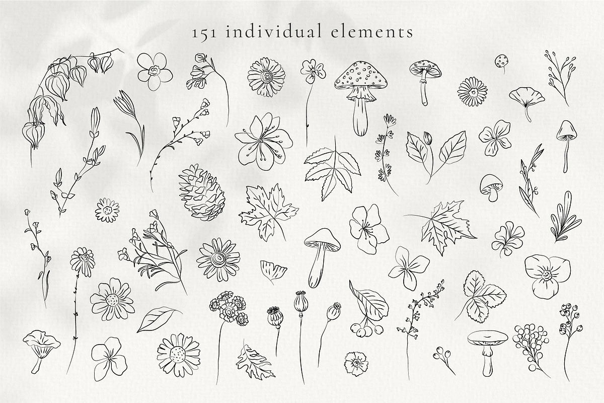 Autumn Botanicals Line Art Clipart, a Decorative Illustration by La Petite Line Art (Photo 2 of 14)