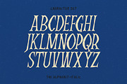 Aidens Family Font - Horror Font, a Serif Font by ariodsgn (Thumbnail 3 of 9)