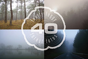 Foggy Forest Photo Pack