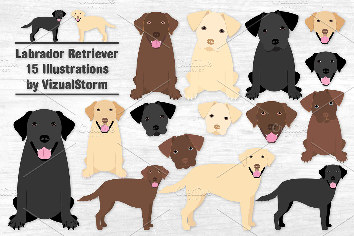 Labrador Retriever Dog Graphics, an Illustration by VizualStorm