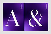 Editorium Serif, a Serif Font by Typehill (Thumbnail 7 of 14)