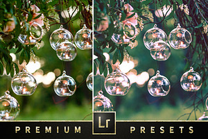 Premium Beautiful Wedding Presets