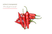 Hot Chili Peppers | 5 Cliparts, a Food Illustration by Miriam Figueras (Thumbnail 3 of 4)