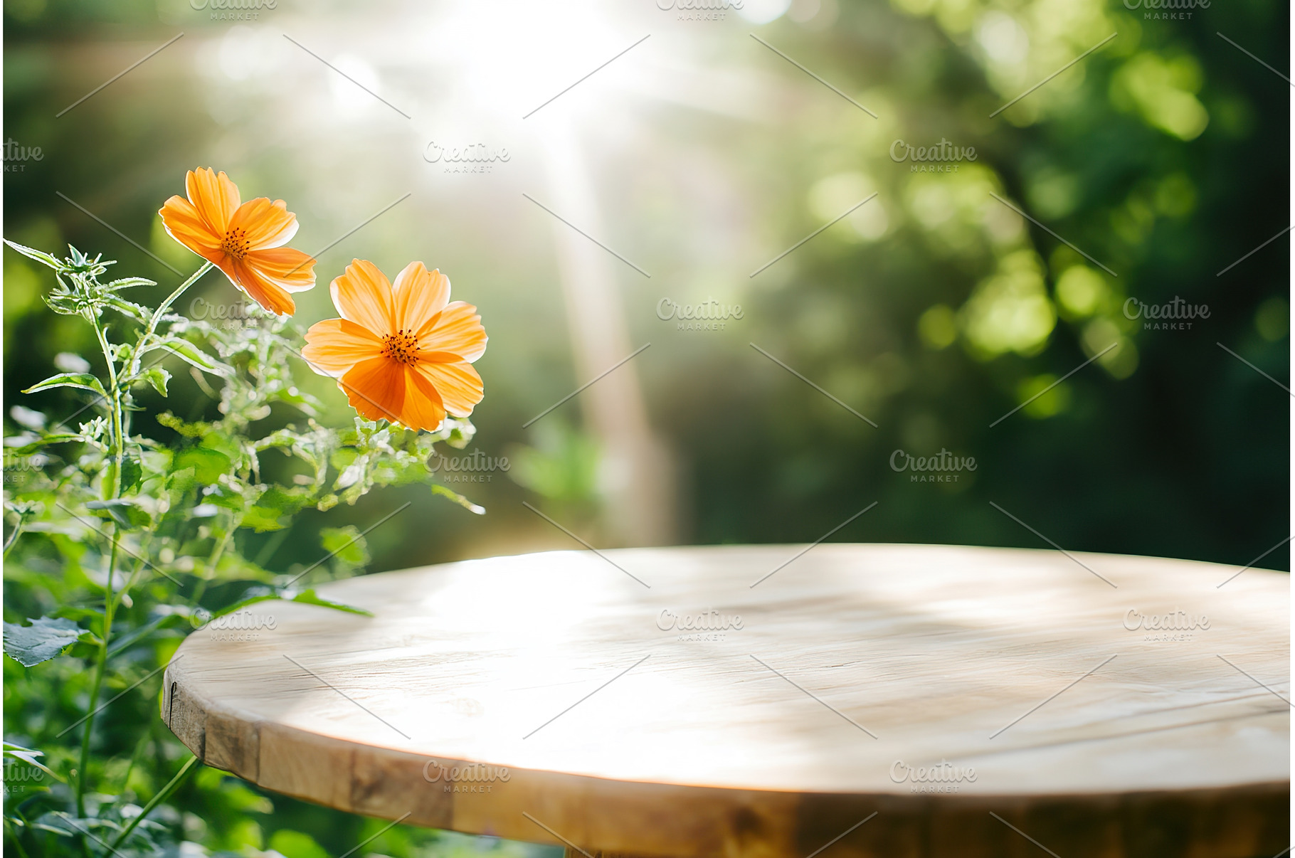 Sunlit orange flowers beside a, a Nature Photo by Lermont51