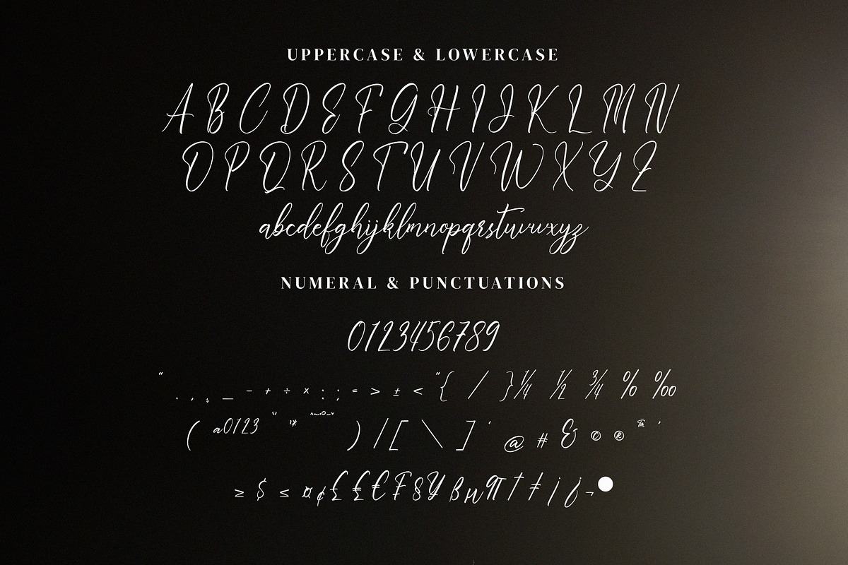 Whitesnight, a Script Font by Goresan Studio (Photo 10 of 15)