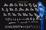 Bird house, a Script Font by Larin Type Co. (Thumbnail 6 of 6)
