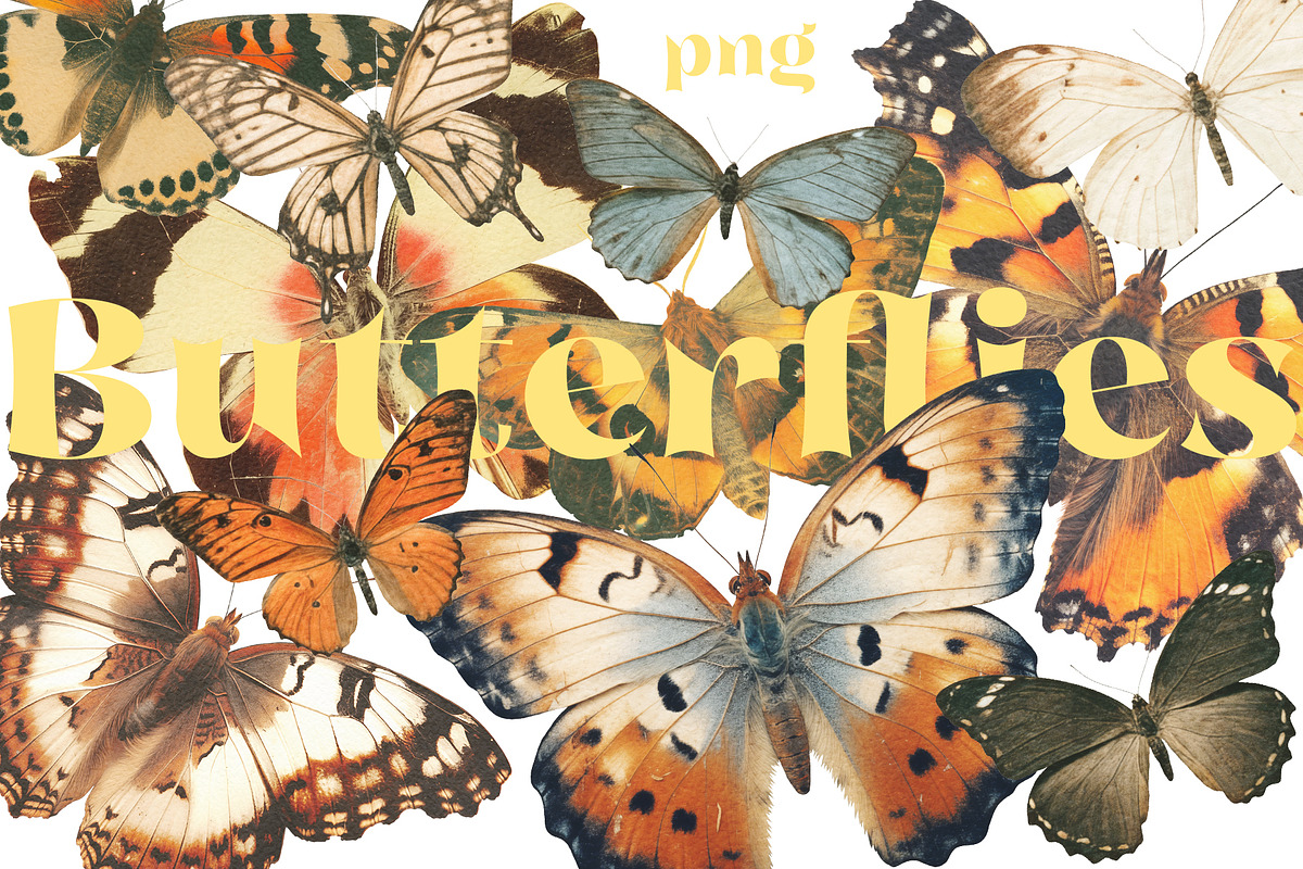 Moth and Butterflies, an Object Graphic by TheCuteShop (Photo 4 of 9)