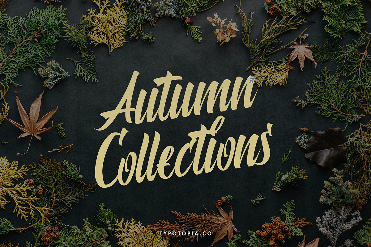 Polaria Script Typeface, a Script Font by edukka (Photo 3 of 8)