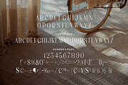 Rematho Klorofiland Duo Font, a Serif Font by Storytype Studio (Thumbnail 11 of 15)