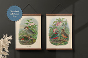 25 Vintage Bird Prints, an Animal Illustration by The Object Atlas (Thumbnail 8 of 9)