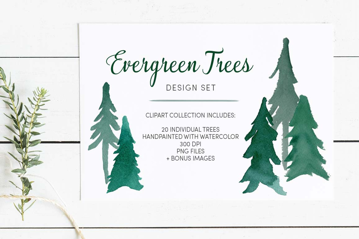 Evergreen Trees Clip Art, an Object Graphic by Chelsea Bromley (Photo 1 of 6)