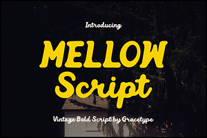 Mellow Script | Vintage Bold Script, a Script Font by gracetype_studio