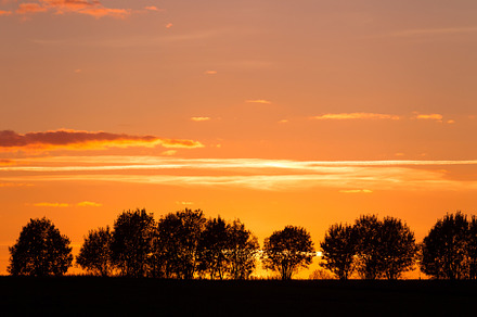 Evening landscape with silhouettes o stock photo containing sunset and, a Nature Photo by oleghz