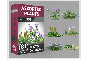81 Assorted Plants Photo Overlays