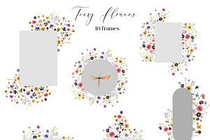 Tiny Flowers Pressed Floral Clipart