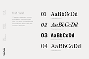 TT Marxiana, a Serif Font by TypeType (Thumbnail 2 of 15)