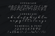 Keighley Castle - Modern Calligraphy, a Script Font by Mayofont (Thumbnail 10 of 10)