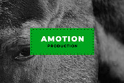 ANIMATED Titles Modern (Premiere), a Presentation Template by Atamotion (Thumbnail 3 of 9)
