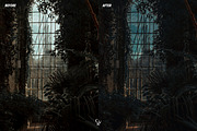 15 Witchy Lightroom Presets, a Preset Add-On by CVR Presets (Thumbnail 4 of 7)
