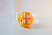 Hikari - Elegant & Modern Serif, a Serif Font by Mikhail Fukurou (Thumbnail 3 of 11)