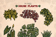 House Plants, an Object Illustration by Ink Stories (Thumbnail 8 of 23)