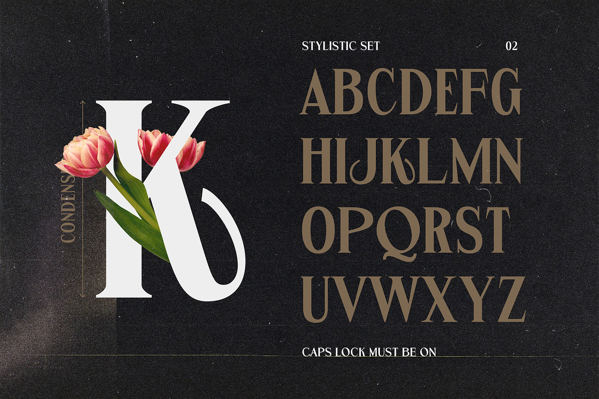 Garmole - Elegant Serif Font, a Serif Font by Hole Hope Design (Photo 4 of 10)