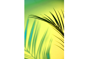 Tropical leaves in neon light with, an Arts & Entertainment Photo by Yulia Furman