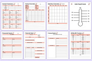 2026 Budget Planner Bundle, a Stationery Template by Mustafiz (Thumbnail 5 of 6)