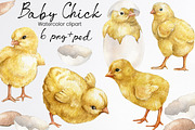 Watercolor easter chicken clipart, an Animal Illustration by yana.fefelova (Thumbnail 1 of 4)