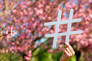 Hand holding white hashtag sign with pink cherry blossoms in ful, a Nature Photo by Ales Munt
