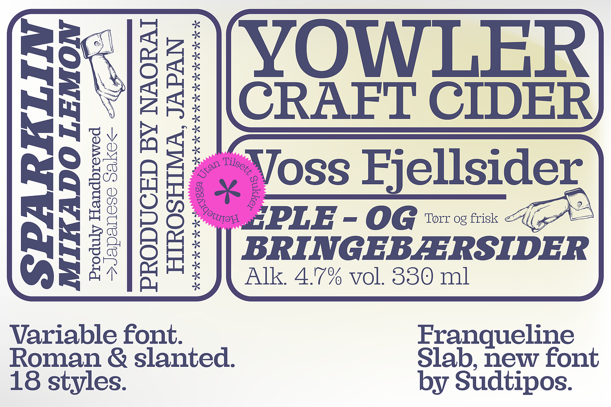 Franqueline Slab, a Slab Serif Font by Sudtipos (Photo 2 of 7)