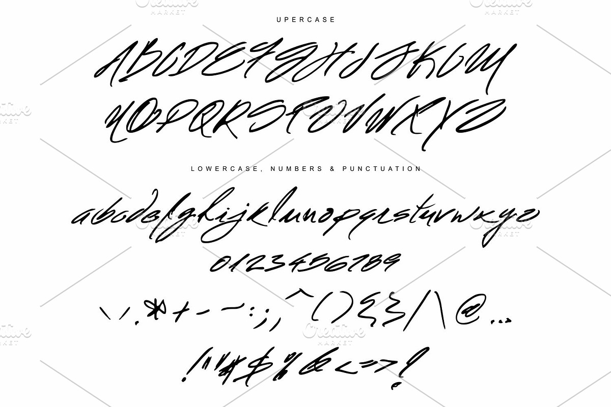 Mr. Roosevelt Handwritten preview 6