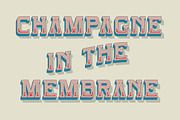 Indiana Headline, a Font by BlackBird Foundry (Thumbnail 3 of 3)