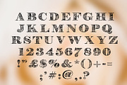 Hart, a Font by Digital Typeface Studio (Thumbnail 2 of 7)