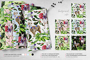 Funny Animals, an Animal Illustration by Anna Myslivets Art (Thumbnail 6 of 10)