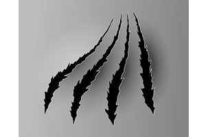 Bear or tiger claw mark, an Animal Illustration by Things for designers