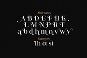 Anya Tamy - Classic Serif Font, a Serif Font by StringLabs (Thumbnail 10 of 10)