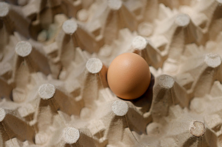 Fresh organic panel eggs on sackclot, a Food & Drink Photo by bastera