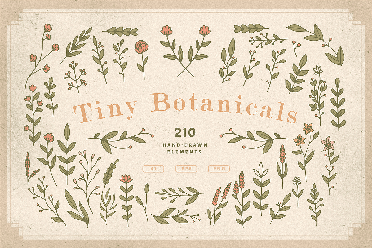 Tiny Botanicals | Wild Flowers Pack, an Illustration by GRPXSTORE (Photo 1 of 7)