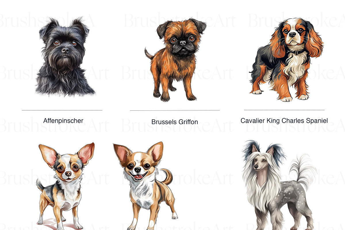 Toy Group Dogs Illustrations Clipart, an Animal Illustration by BrushstrokeArtGB (Photo 2 of 9)
