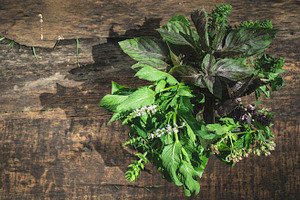 Fresh herbs in garden featuring herbs, fresh, and herb