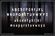 HALLOWEEN - FREAK SHOW, a Font by The Bird Life Design Co. (Thumbnail 2 of 4)
