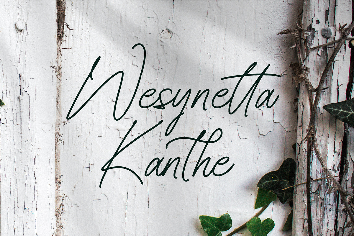 Senofeetha, a Script Font by Integritype Studio (Photo 7 of 15)