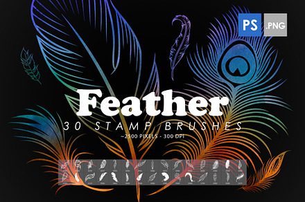 Feather Photoshop Stamp Brushes
